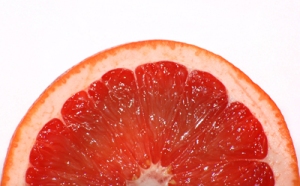Half-of-grapefruit-slice1521