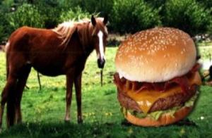 size2_67633_hamburguesa_de_caballo